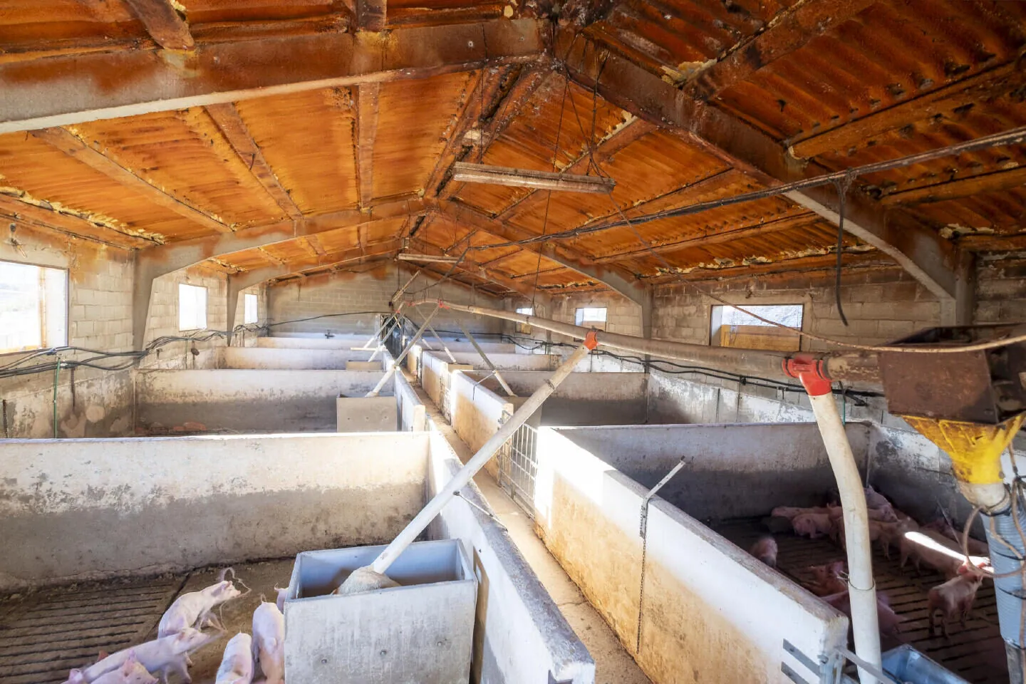Verhuurd veeteeltbedrijf met woonhuis bij Antequera, Málaga – 5/16